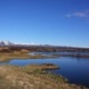 Þingvellir