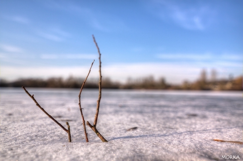 Eau gelée du lac d'Ollainville