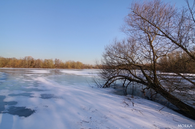 Lac d'Ollainville gelé