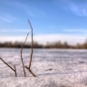 Eau gelée du lac d'Ollainville