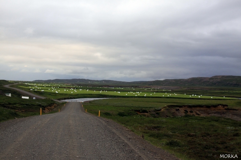 Road to Borgarfjörður, Iceland